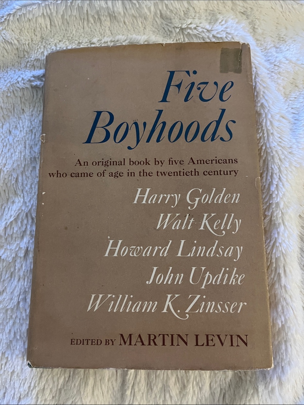 Five Boyhoods